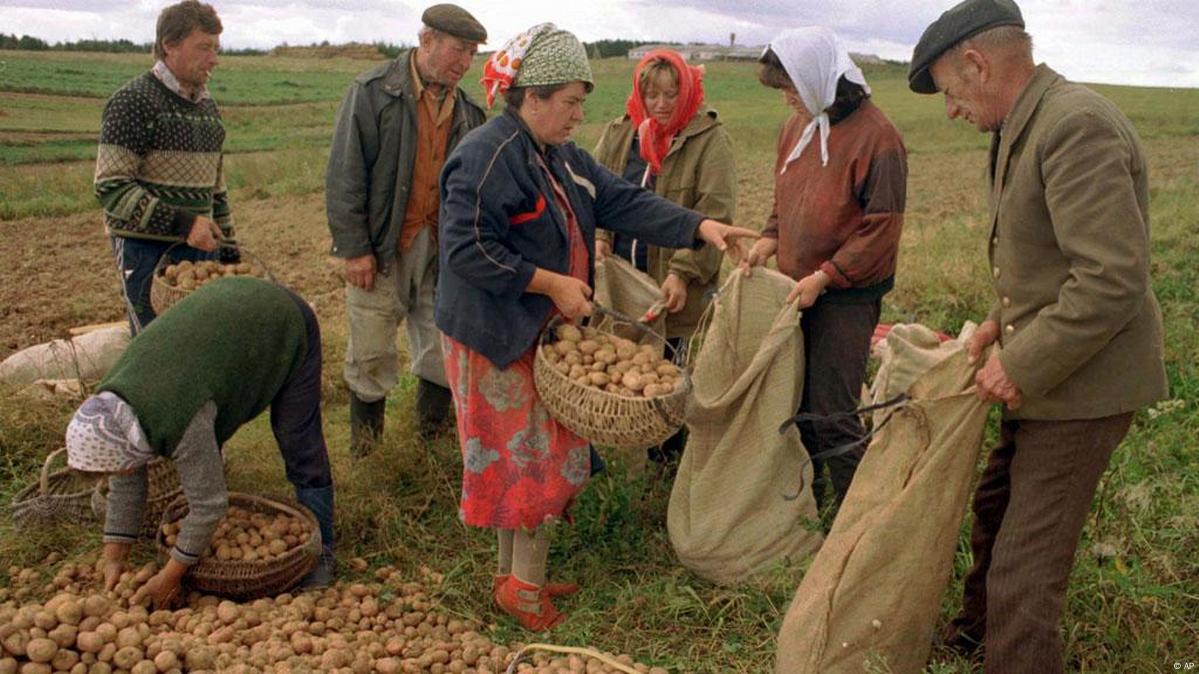 Сельское хозяйство и сельское население. Сельское хозяйство в деревне. Хозяйство в народе. Занятие сельским хозяйством. Труд на селе.