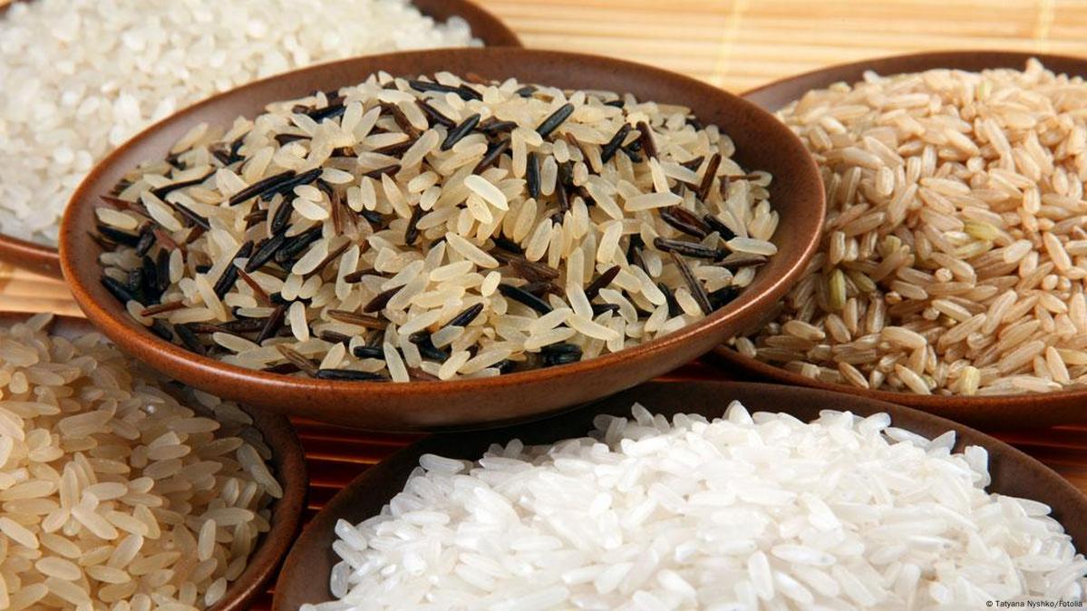 Pratos com diferentes tipos de arroz
