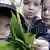 Three children get up close and personal with a plant (Photo: dapd)