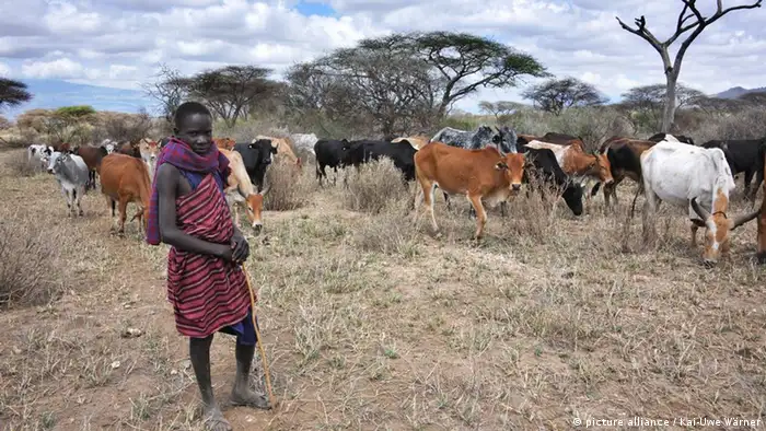 Dürregebiet Kentumbeine an der Grenze zu Kenia. Ein junger Massai führt eine Herde Ziegen durch die trockene Landschaft. Foto: picture alliance/Kai-Uwe Wärner im Auftrag von World Vision