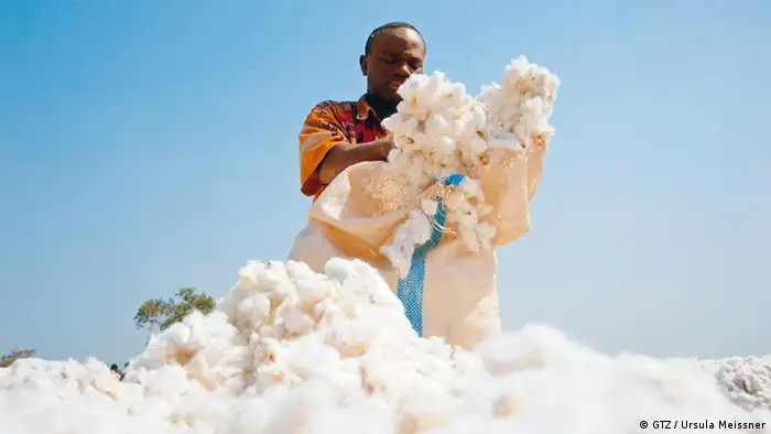 Le coton made in Africa, un bien d'exportation qui permet aux paysans d'envoyer leurs enfants à l'école