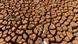 A view of a dried-up pond at Haizi town in Luliang in southwest China's Yunnan province on Monday, March 22, 2010. A severe drought hit southwest China, leaving more than 16 million people and 11 million livestock with drinking water shortages. More than 50 million people were affected and about 940,200 hectares of farmland would yield no harvest. March 22 marks the 18th World Water Day. (Photo By Li Huang/Color China Photo/ddp images/AP Images) A view of a dried-up pond at Haizi town in Luliang in southwest China's Yunnan province on Monday, March 22, 2010. A severe drought hit southwest China, leaving more than 16 million people and 11 million livestock with drinking water shortages. More than 50 million people were affected and about 940,200 hectares of farmland would yield no harvest. March 22 marks the 18th World Water Day. (Photo By Li Huang/Color China Photo/ddp images/AP Images)