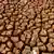 Muschelschalen auf ausgetrocknetem, zerfurchtem Erdboden (Foto: dapd)