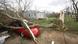 Cars and homes damaged by a tornado in New Market, AL March 2, 2012. A swarm of tornadoes slammed the U.S. midsection on Friday from Indiana to Alabama, splintering homes, damaging a prison, overturning trucks and causing some injuries in the storm-tossed region. Seven people were hurt by a suspected twister in northern Alabama and multiple tornadoes hit along the Ohio River valley and caused extensive damage in at least one county in Indiana. REUTERS/Harrison McClary (UNITED STATES - Tags: ENVIRONMENT DISASTER) // eingestellt von se Cars and homes damaged by a tornado in New Market, AL March 2, 2012. A swarm of tornadoes slammed the U.S. midsection on Friday from Indiana to Alabama, splintering homes, damaging a prison, overturning trucks and causing some injuries in the storm-tossed region. Seven people were hurt by a suspected twister in northern Alabama and multiple tornadoes hit along the Ohio River valley and caused extensive damage in at least one county in Indiana. REUTERS/Harrison McClary (UNITED STATES - Tags: ENVIRONMENT DISASTER) // eingestellt von se