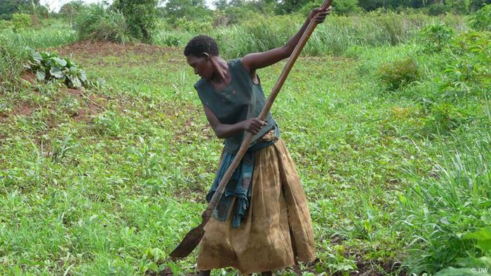 A woman works the field in Uganda