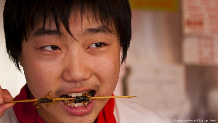 Insekten als Lebensmittel