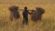A farmer carries harvested rice on his shoulders in a paddy field at Raja Panichanda village, on the outskirts of Gauhati, India, Friday, Nov. 4, 2011. In a report released last month, ActionAid urged G-20 leaders to increase investment in small farms in poor countries warning that millions of poor farmers will be deprived of arable land to produce food due to demand for biofuels, which take up land that could be used to grow edibles, and a rush from foreign investors to control natural resources such as minerals. India was among the 10 most vulnerable in a survey of 28 poor countries conducted by the group. (AP Photo/Anupam Nath) A farmer carries harvested rice on his shoulders in a paddy field at Raja Panichanda village, on the outskirts of Gauhati, India, Friday, Nov. 4, 2011. In a report released last month, ActionAid urged G-20 leaders to increase investment in small farms in poor countries warning that millions of poor farmers will be deprived of arable land to produce food due to demand for biofuels, which take up land that could be used to grow edibles, and a rush from foreign investors to control natural resources such as minerals. India was among the 10 most vulnerable in a survey of 28 poor countries conducted by the group. (AP Photo/Anupam Nath)