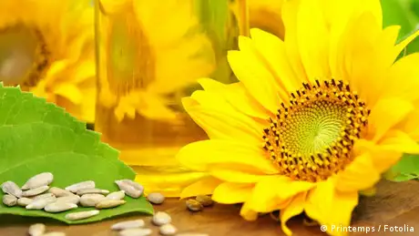 Sonnenblumenöl Fotolia