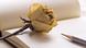 Rosa, lapiz y papel 7953276 Alcerreca - Fotolia Rosa, lapiz y papel 7953276 Alcerreca - Fotolia