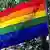 Homosexualität - Die Regenbogenflagge vor einem Baum (Foto: DPA)