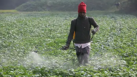 Landwirtschaft in Asien