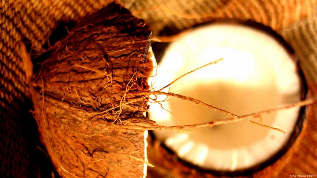 Unleashing the Hidden Potential: Exploring the World of Coconut Shell  Recycling, by Akbaraleyy