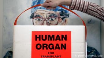 Eine Hand hält eine Kühlbox für Spenderorgane vor das Bild eines Chirurgen (Archiv, Foto: dpa)