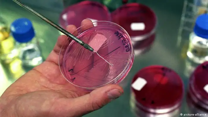Des bactéries comme celles de la peste à l'étude à l'Institut Robert Koch de Berlin, fondé en 1891