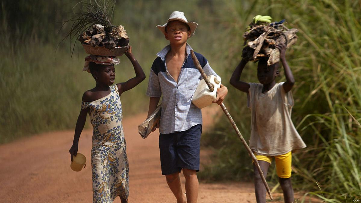 Cocoa farming, cheap chocolate and child labor DW 11/26/2020