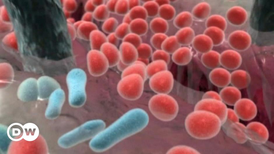 تنتج بكتيريا e.coli التي تعيش في أمعاء الإنسان جواب