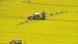 A tractor in a field of rapeseed +++(c) dpa - Bildfunk+++ A tractor in a field of rapeseed +++(c) dpa - Bildfunk+++