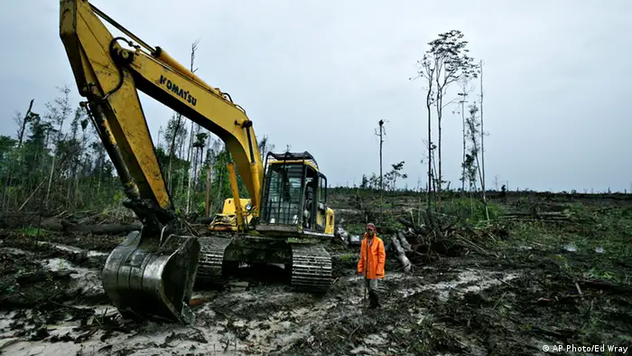 An Indonesian plantation worker stands next to his back hoe being used to knock down trees to make way for a palm oil plantation on Saturday, June 9, 2007, in Tumbang Kuling, Kalimantan, Indonesia. (ddp images/AP Photo/Ed Wray) In TUMBANG KULING, Indonesien