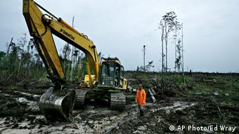 Forest destruction in Indonesia.