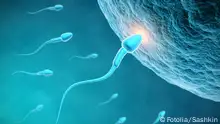 أي وضعية الأفضل للمرأة عند التلقيح الاصطناعي؟