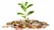 Symbolbild Insel aus Euromünzen mit Pflanze Symbolbild Insel aus Euromünzen mit Pflanze