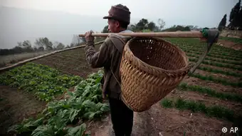 Von Chinesen bearbeitete Farm