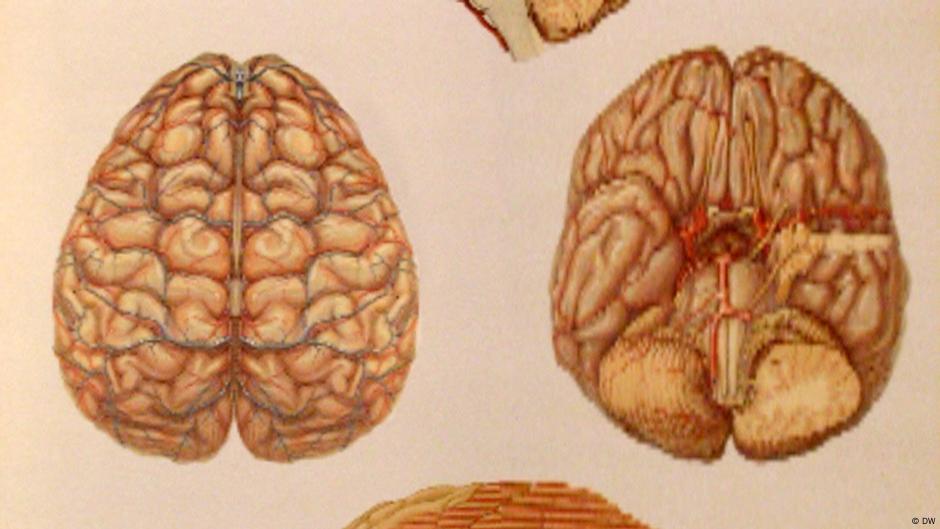 Mnemonics - Tricks for Training your Memory – DW – 05/24/2012
