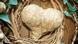 Photo of a heart decoration made from straw Photo of a heart decoration made from straw