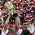 Members of the 2005 Bayern team lift the German Cup