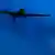 Eine US-Drohne bei Mondschein über Südafghanistan aufgenommen (Foto: dapd)