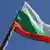 Националният флаг на България на дръжка от дървен клон