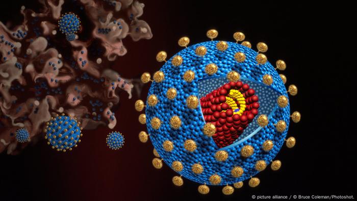 Virus hiv didalam tubuh manusia menyerang