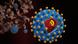HI virus graphic HI virus graphic