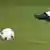 Bälle mit dem Logo von Kappa liegen auf dem Rasen und werden geschoßen, aufgenommen am 09.02.2007 während der Zweitliga-Partie 1. FC Kaiserslautern gegen Hansa Rostock im Fritz-Walter-Stadion in Kaiserslautern. Foto: Ronald Wittek +++(c) dpa - Report+++
