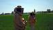 Italian beekeepers Italian beekeepers
