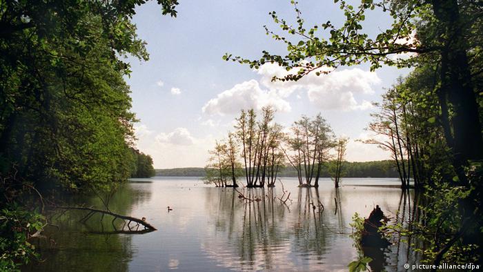 Werbellinsee im UNESCO-Biosphärenreservat Schorfheide in Brandenburg