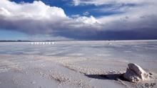 Herzog dreht Umwelt-Thriller