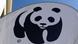 A panda - the WWF's Logo A panda - the WWF's Logo