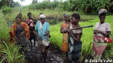 Camponeses do norte de Moçambique rejeitam ProSavana