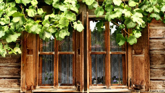 Мамо, кой е родният ми език и коя е родината