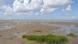 Wadden Sea (photo: picture alliance/dpa) Wadden Sea (photo: picture alliance/dpa)