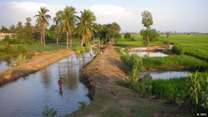 Bewässerungssystem in Myanmar Foto: IWMI
