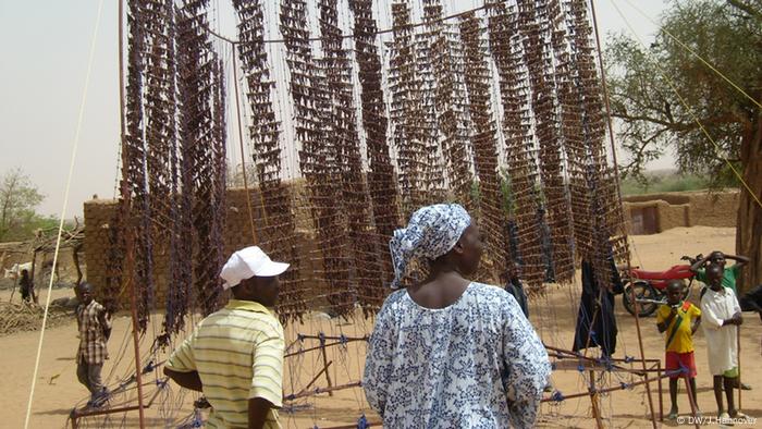 zum Trocknen aufgehängte fleischstückchen Yatakala, Niger, Region Téra Besuch im Dorf mit Welthungerhilfe Fati Salaou (Kontrolleurin), Dorfbewohner, trockenende Fleischstücke Wer hat das Bild gemacht?: alle Jantje Hannover Wann wurde das Bild gemacht?: alle 25.4. - 29.4.2012