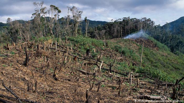 Cleared forests in Madagascar
Photo: picture-alliance / © Balance/Photoshot