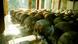 Khmer Rouge victims' remains Khmer Rouge victims' remains