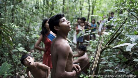 10 reasons why Indigenous and tribal peoples are the world's best  conservationists - Survival International