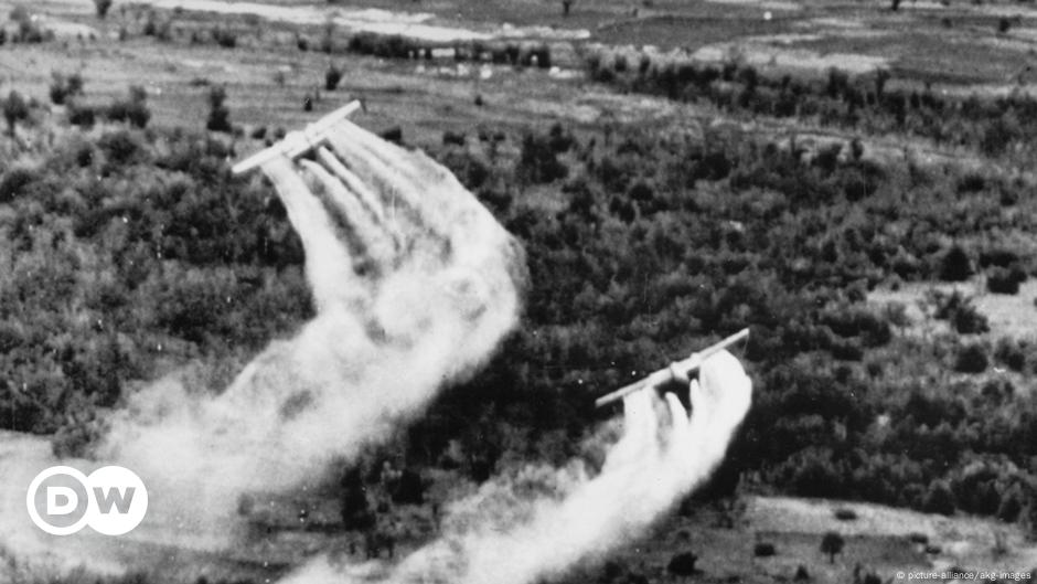 Agent Orange In Vietnam DW 04 28 2015   16152967 6 