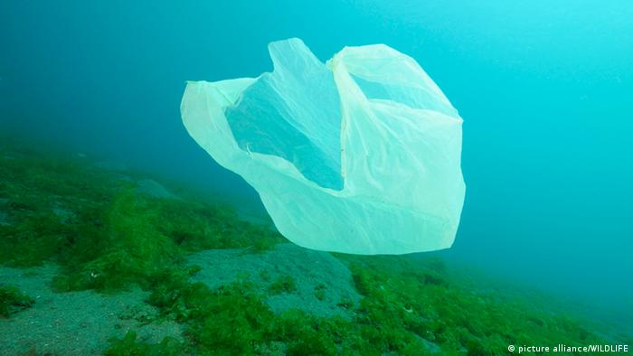 Plastiktüte treibt im Meer (Foto: picture alliance/WILDLIFE)