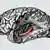 Aus Wikipedia: Der Hippocampus (Plural Hippocampi) ist ein Bestandteil des Gehirns und zählt zu den evolutionär ältesten Strukturen des Gehirns. Er befindet sich im Temporallappen und ist eine zentrale Schaltstation des limbischen Systems. Es gibt einen Hippocampus pro Hemisphäre.