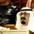 Saudi-Arabien König Abdullah
